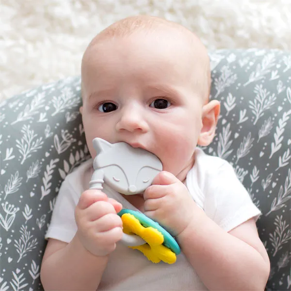 [2 Pack] Dr Brown's Fox Learning Loop Teether