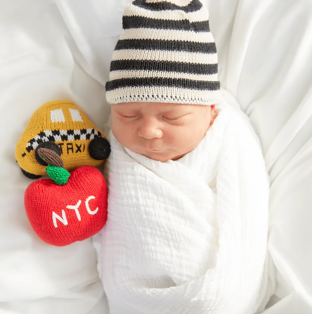 Baby Gift Set-NYC ABCs Book, Rattles and Doll