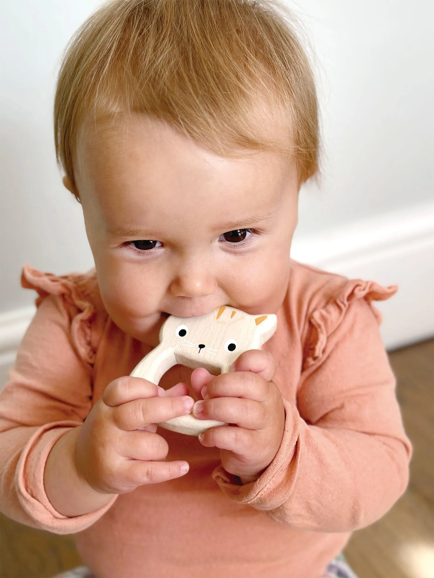 Bird & Kitten Teethers