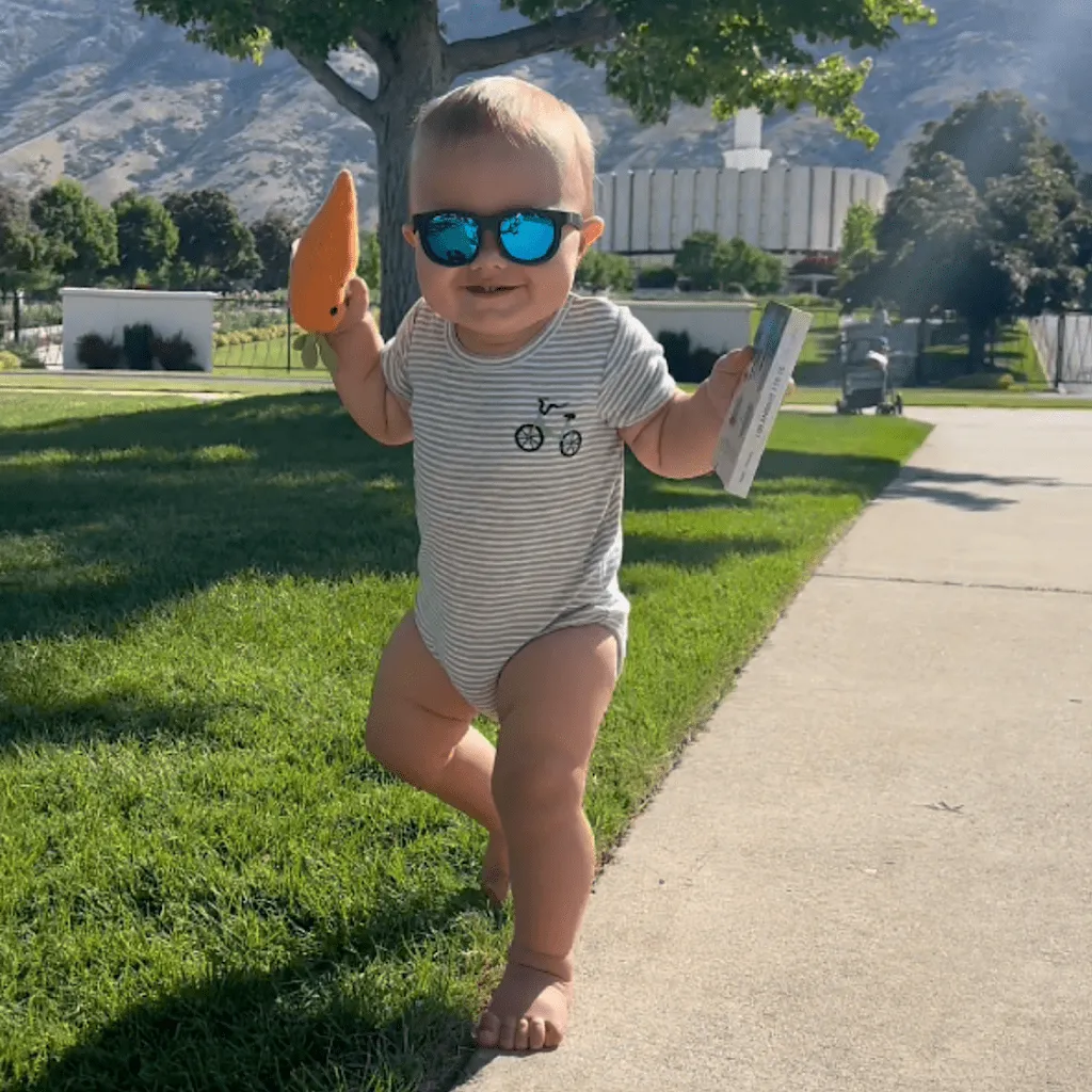 Carrot Organic Baby Rattle