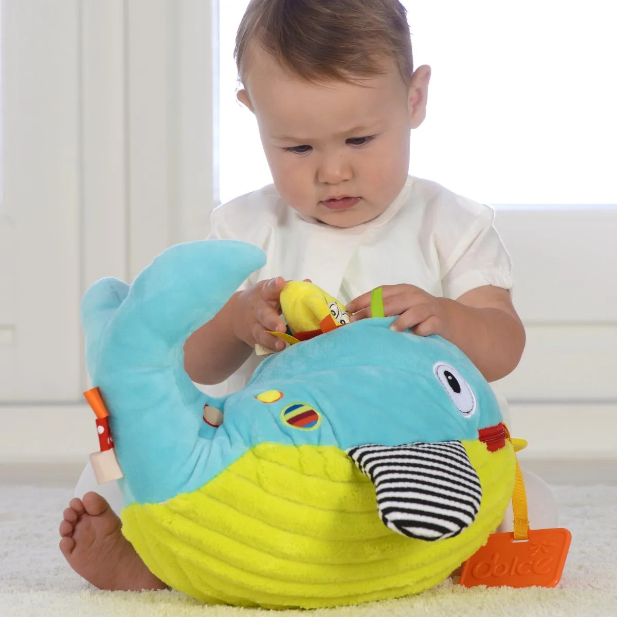 Dolce Toys - Play and Learn Whale