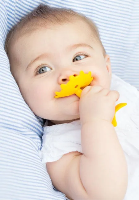 EZ Grip Teethers