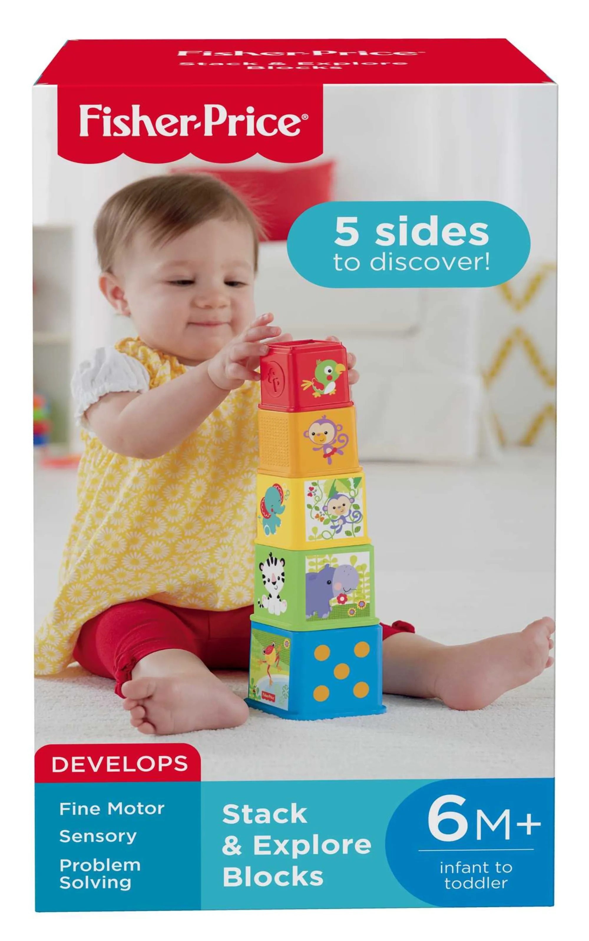 Fisher-Price Stack & Explore Blocks