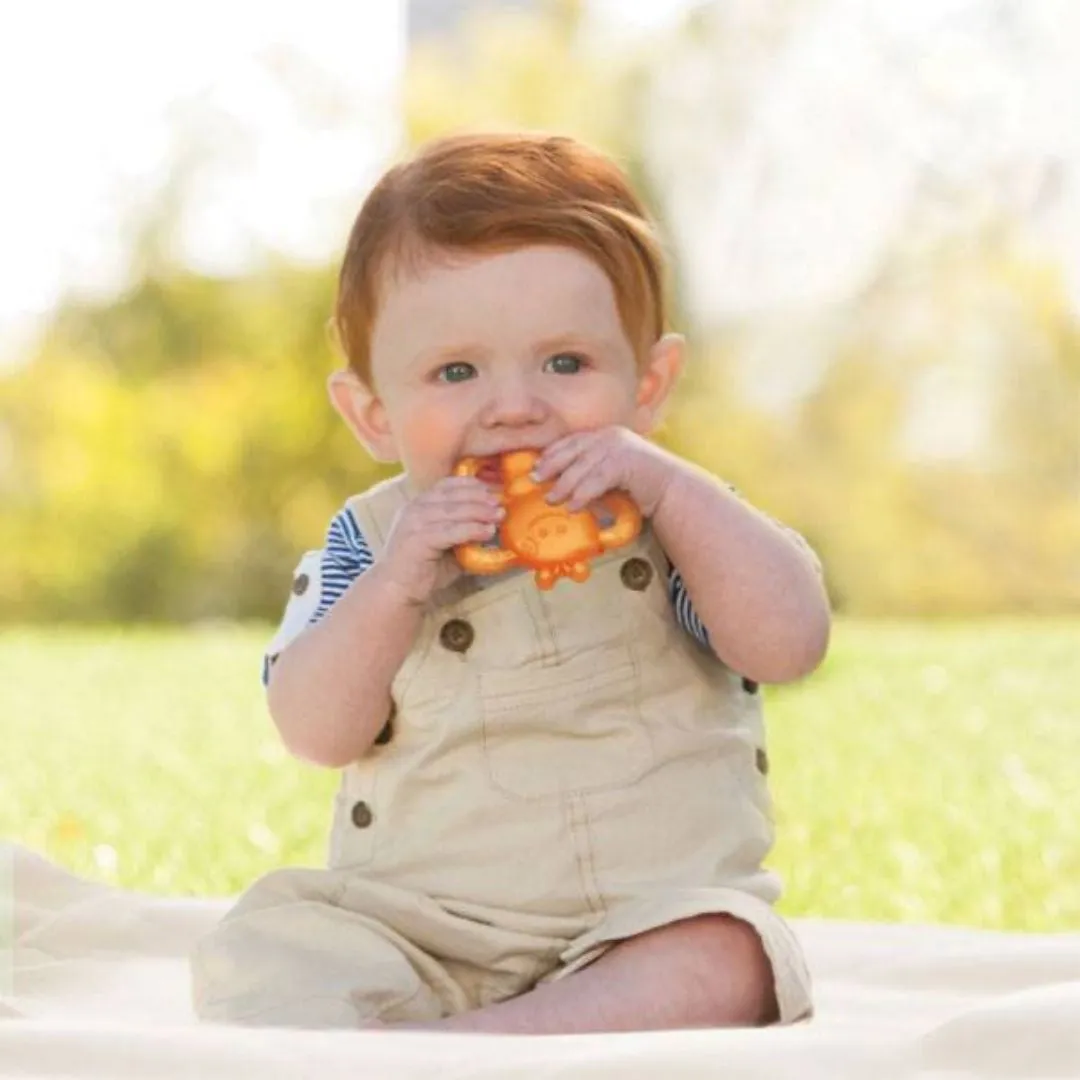 Infantino Garden Teething Pals (0m )