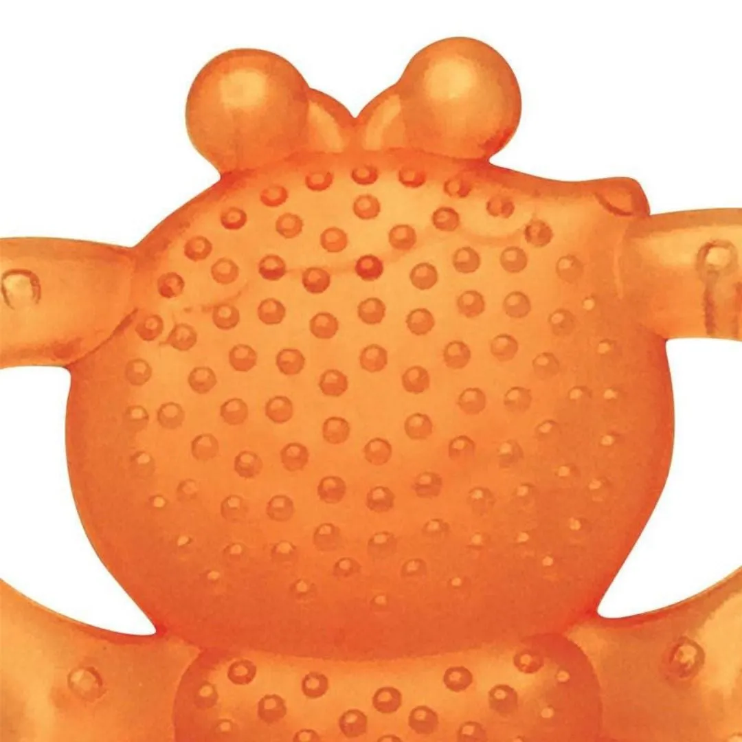 Infantino Garden Teething Pals (0m )