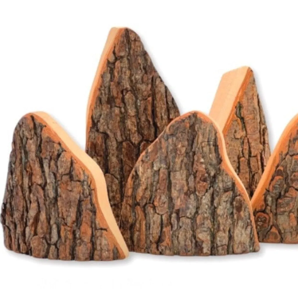 Magic Wood Dragon Rooks