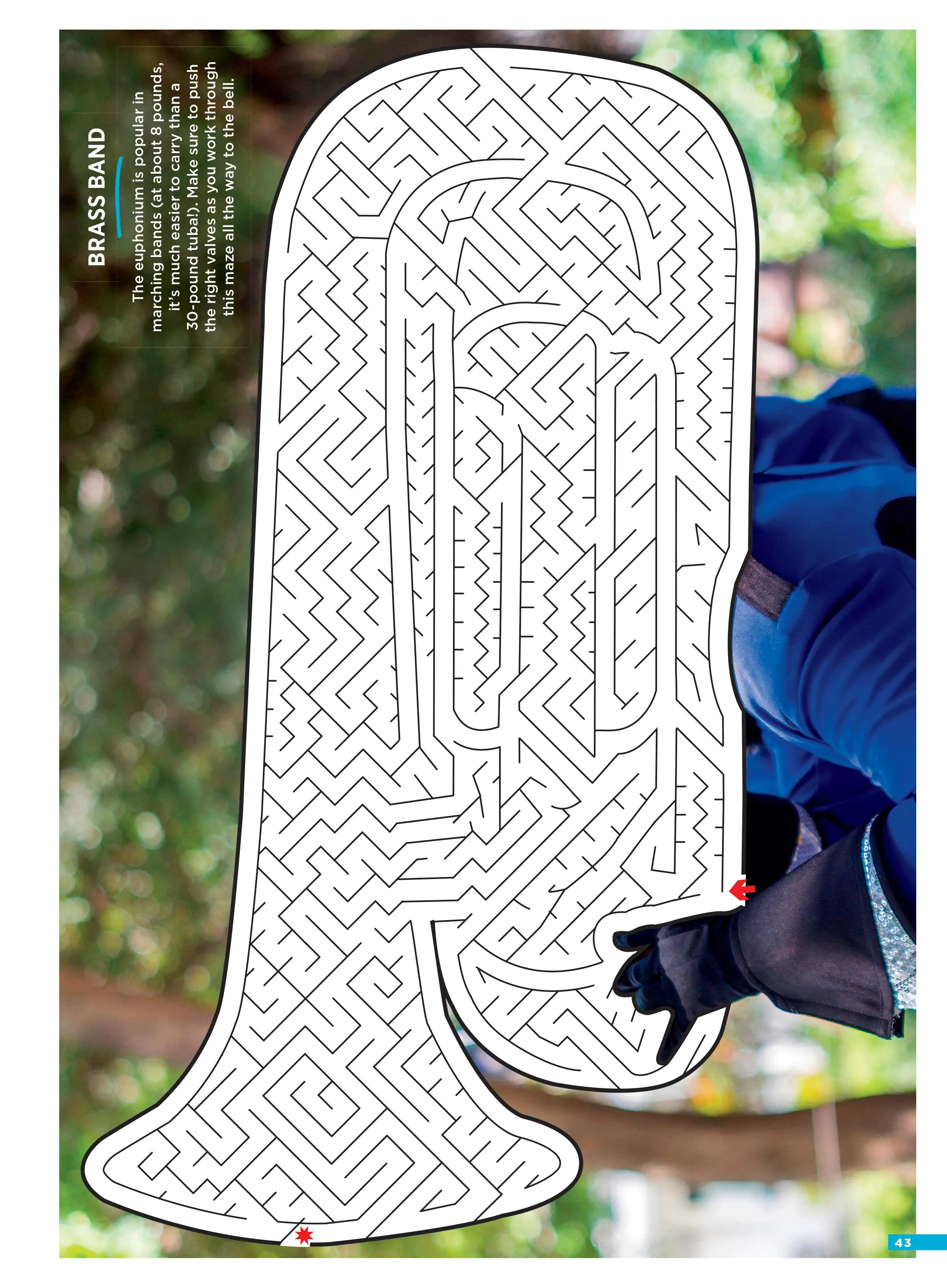 Mazes - Best of Brain Fun: 48 Puzzles For All Skill Levels, 6 Sections, Animals, Food, Sounds, Outdoors, Pastimes, Flowers, Solving Tips, Dead Ending, Relax, Unwind, Self-Care, De-Stress & Unplug!