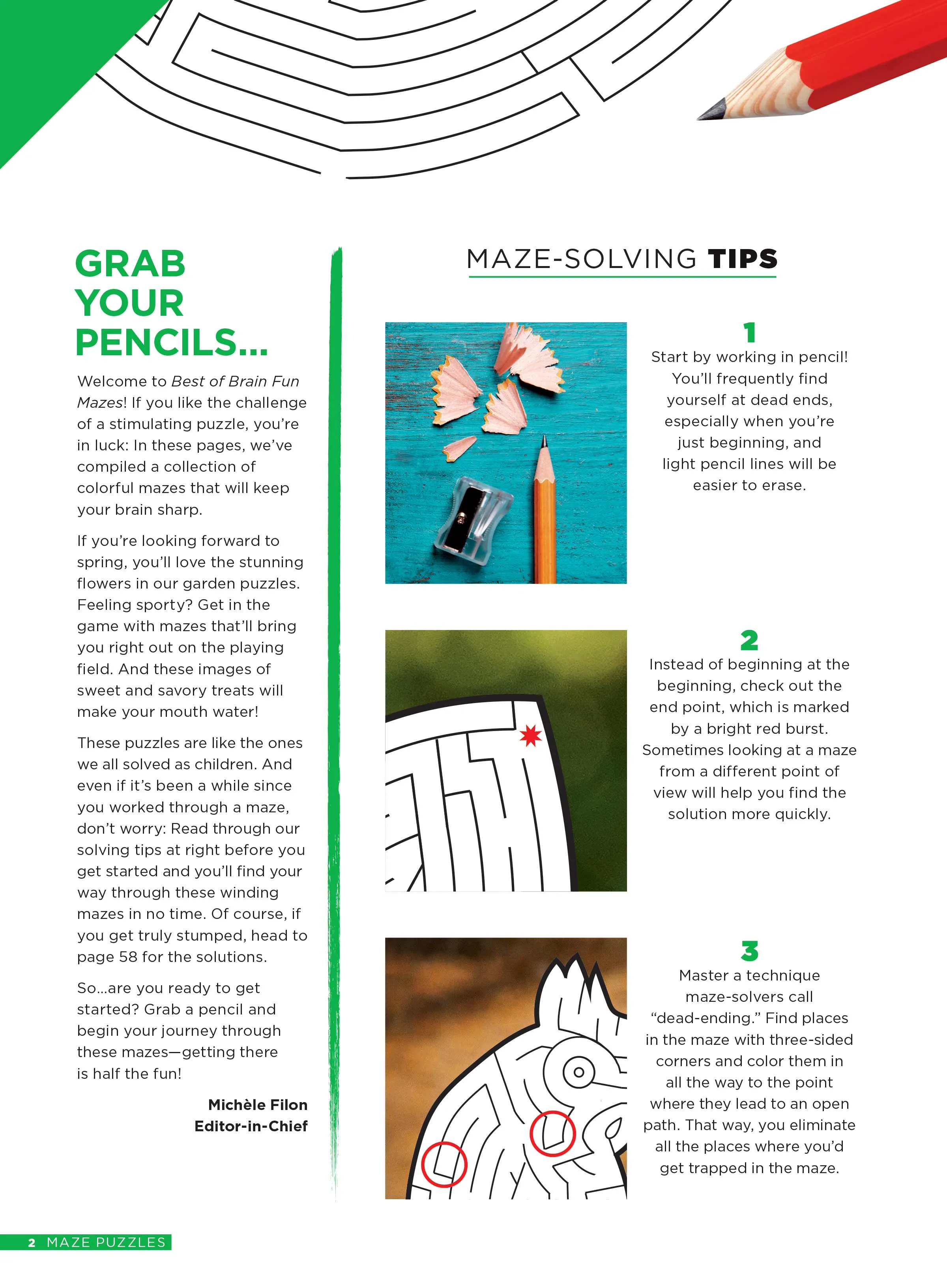 Mazes - Best of Brain Fun: 48 Puzzles For All Skill Levels, 6 Sections, Animals, Food, Sounds, Outdoors, Pastimes, Flowers, Solving Tips, Dead Ending, Relax, Unwind, Self-Care, De-Stress & Unplug!