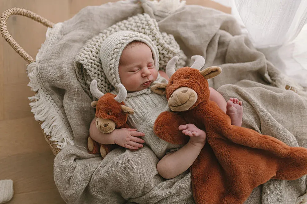 Nana Huchy - Henry the Highland cow Rattle