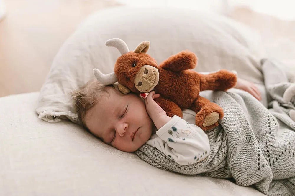 Nana Huchy - Henry the Highland cow Rattle