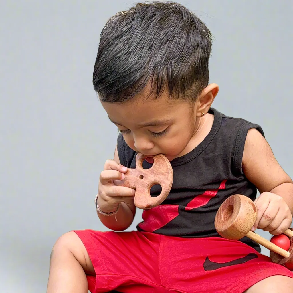 Neem Wood Teether- Penguin