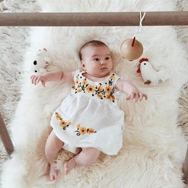 On The Farm Organic Baby Rattles Gift Set