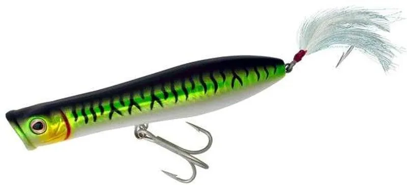 Tsunami XD Talkin' Popper Lures