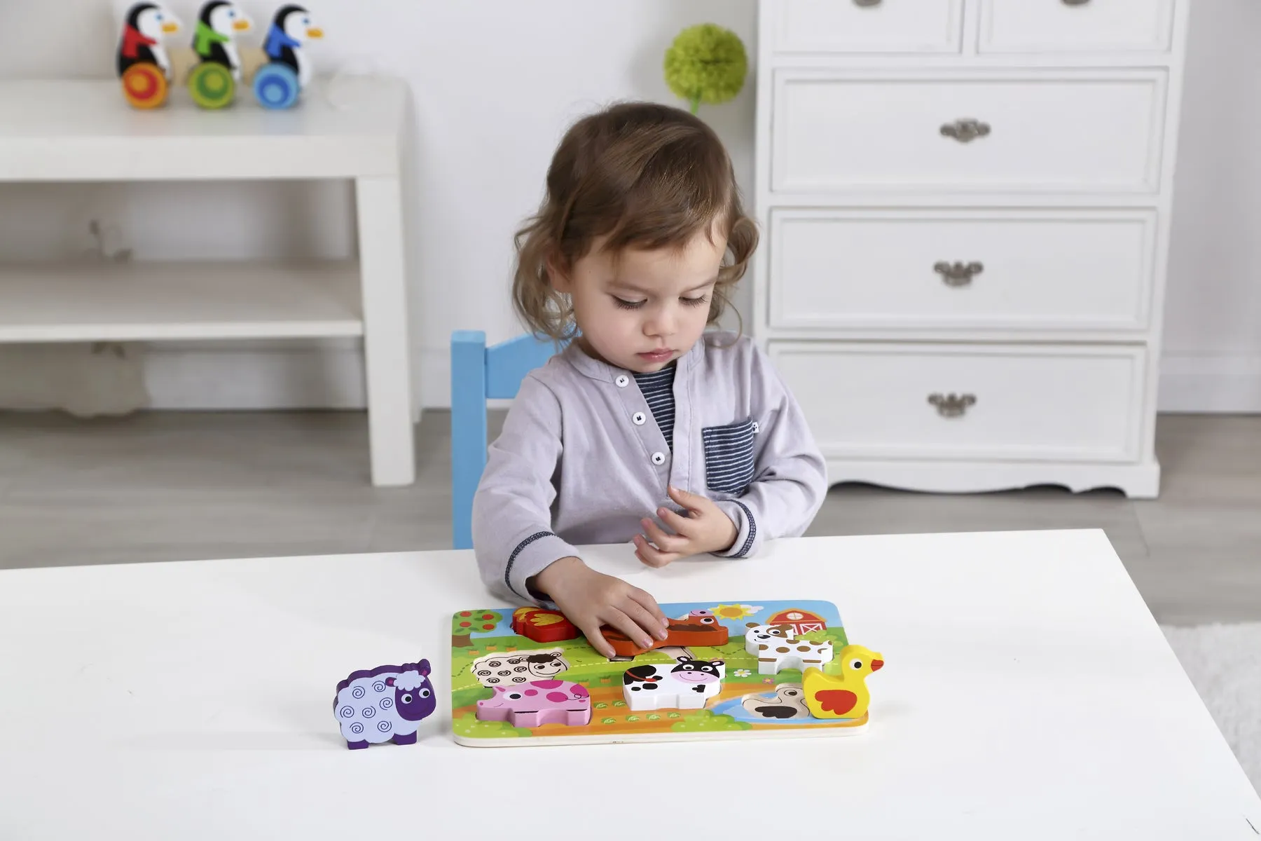 Wooden Chunky Puzzle for Toddlers - Assorted Designs